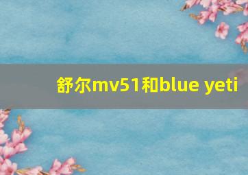 舒尔mv51和blue yeti